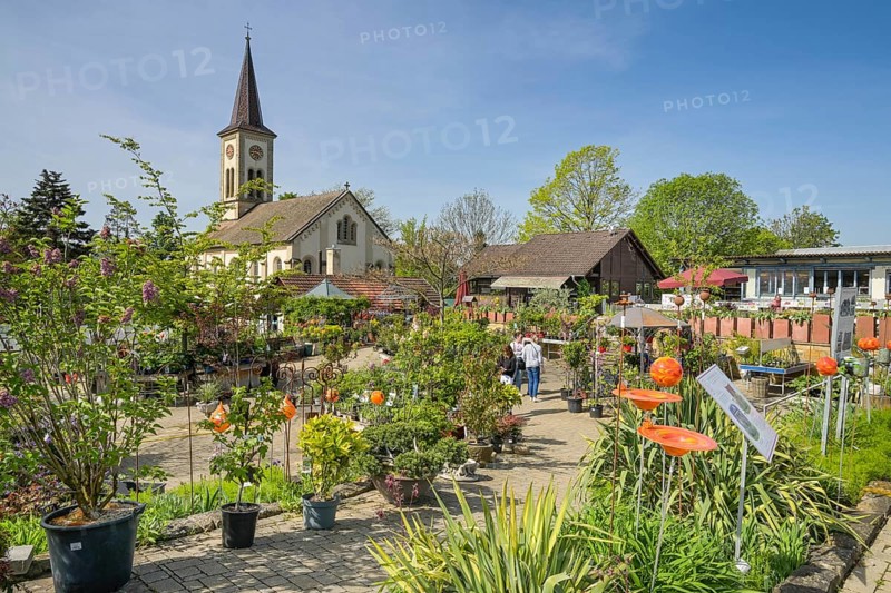 Graefin von Zeppelin perennial nursery, Sulzburg, Baden-Wuerttemberg, Germany, Europe