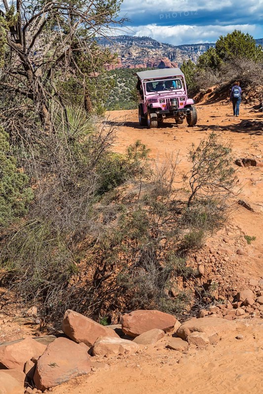 Pink jeep from Pink Jeep Tours passes hikers along the rough road used by off-road vehicles in Sedona, Arizona, USA, North America
