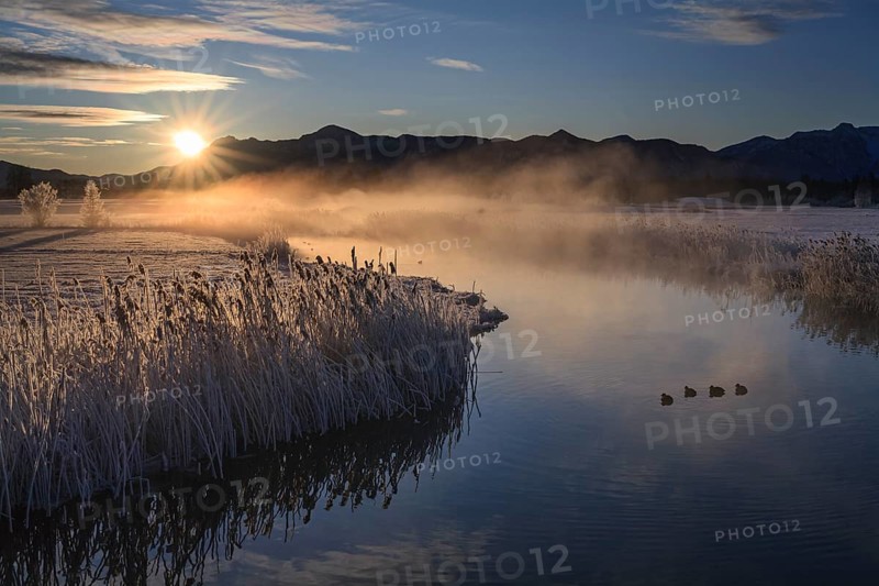 River at sunrise in front of mountains, winter, Ach estuary, Uffing, Alpine foothills, Upper Bavaria, Bavaria, Germany, Europe