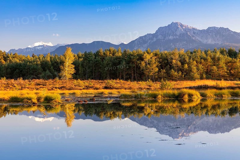 Schonramer Filz, a raised bog near Traunstein, Bavaria in the evening light
