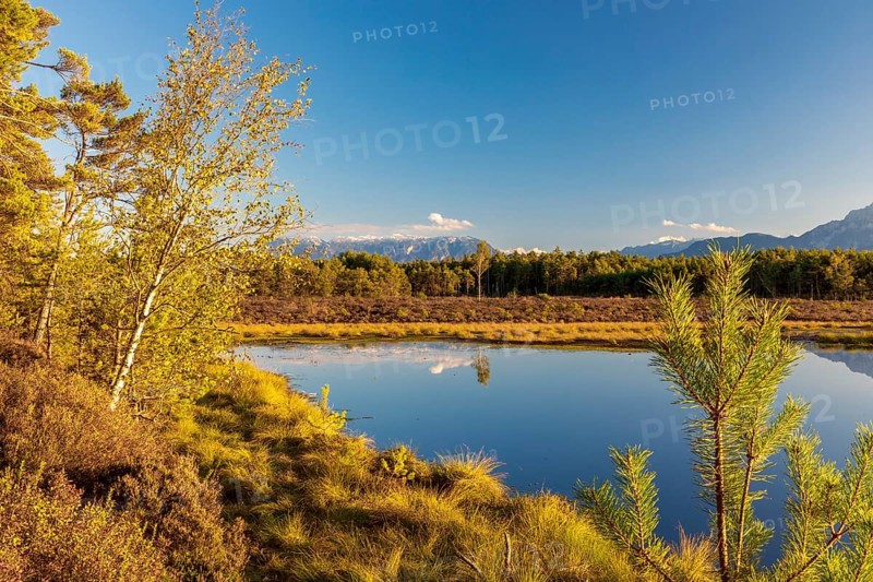 Schonramer Filz, a raised bog near Traunstein, Bavaria in the evening light