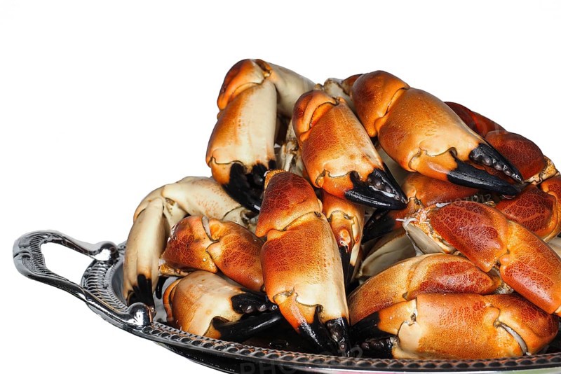 Pile of fresh boiled crab claws on a silver tray, isolated on white background