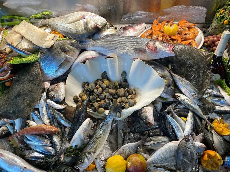 Display in a fish restaurant, fresh fish, fresh fish, fish of the day, mussels, prawns, sea bream, sea bass, sole, sardines, food, Algarve, Portugal, Europe