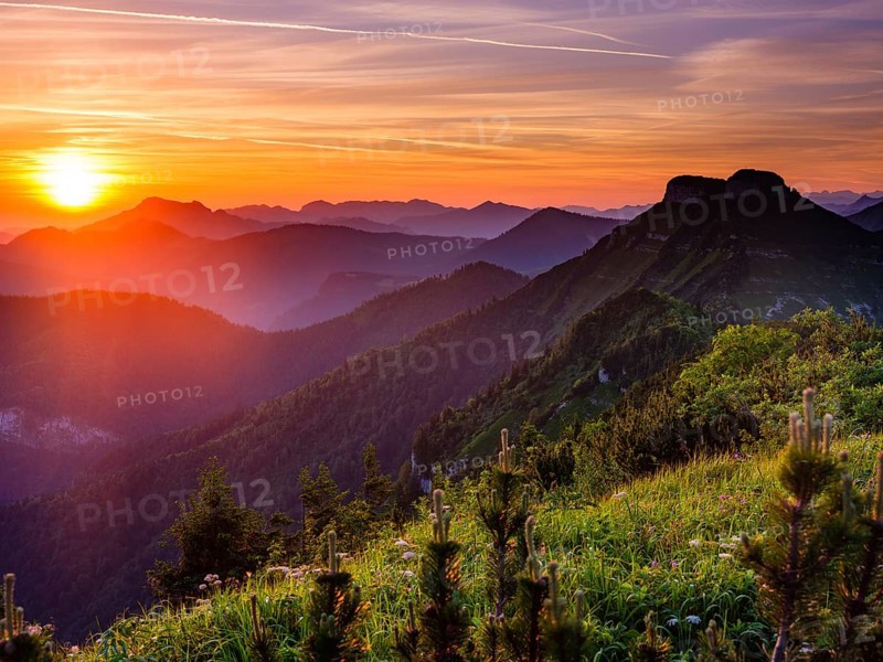 Sunrise over the Osterhorn group and the Hollengebirge, Schlenken, Bad Vigaun, Salzburg province, Austria, Europe