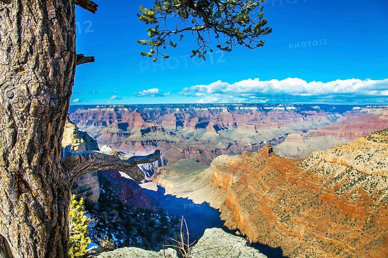 Grand Canyon Arizona