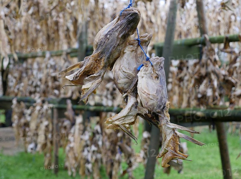 Dried fish and fish heads
