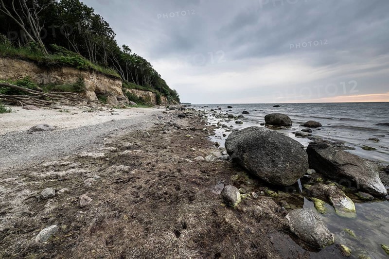 Steep coast, Poel Island, Mecklenburg-Western Pomerania, Germany, Europe