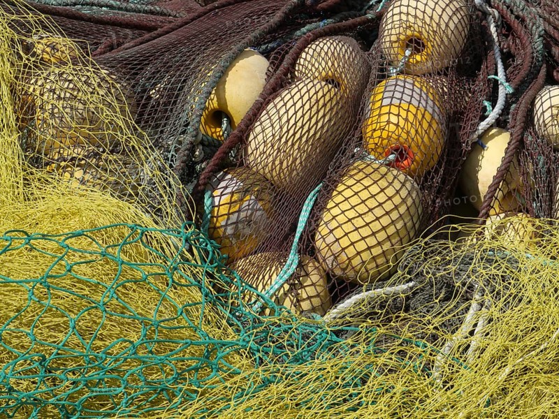 Fishing net