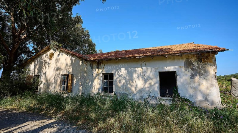 Abandoned house with crumbling walls and partially collapsed roof, surrounded by nature and with trees in the background, Lost Place, World War Bunker, Barrack, Kalavarda, Rhodes, Dodecanese, Greek Islands, Greece, Europe