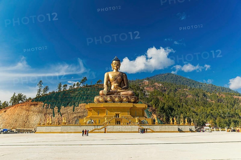 169 feet tall bronze Buddha statue shining bright in the daytime