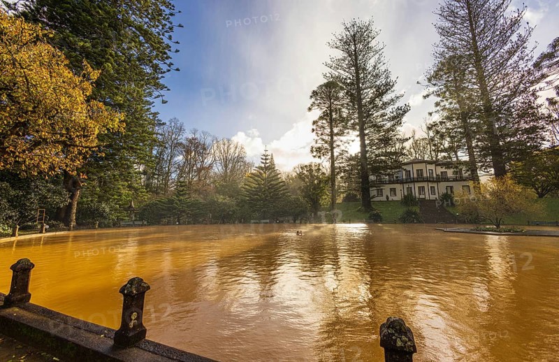 The famous yellow thermal pool in the Terra Nostra botanical garden at Furnas, Sao Miguel island, Azores, Portugal, Europe