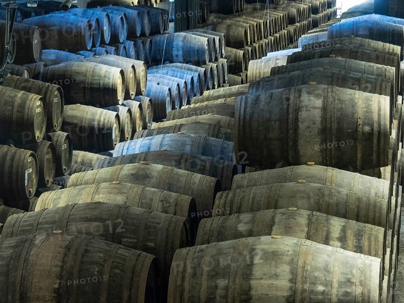 Rows of large wooden wine barrels stacked in a dark warehouse, Porto, Douro, Portugal, Europe