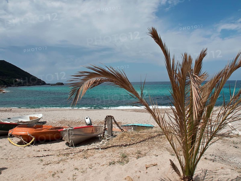 A sandy beach with boats and palm trees in the foreground, the sea and the blue sky with some clouds in the background, ajaccio, corsica, france