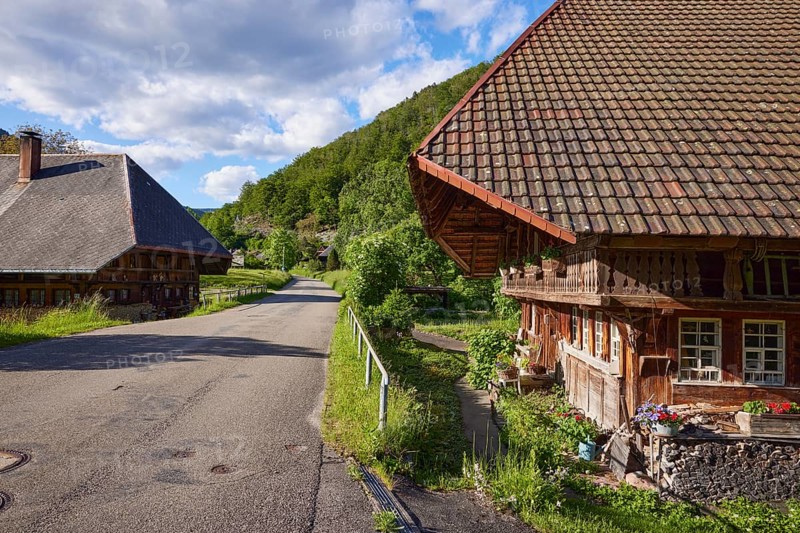 Street with Black Forest houses in the historic district of Geschwend, Todtnau, Black Forest, district of Lorrach, Baden-Württemberg, Germany, Europe