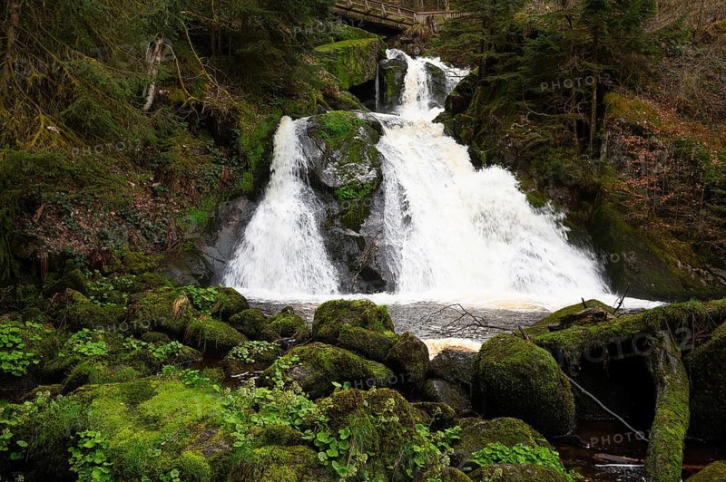 Triberg waterfall in the Black Forest, highest fall in Germany, Gutach river plunges over seven major steps into the valley, wooden bridge