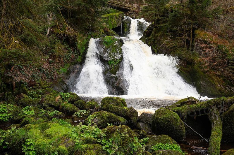 Triberg waterfall in the Black Forest, highest fall in Germany, Gutach river plunges over seven major steps into the valley, wooden bridge