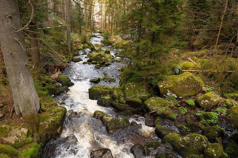 Triberg waterfall in the Black Forest, highest fall in Germany, Gutach river plunges over seven major steps into the valley, wooden bridge