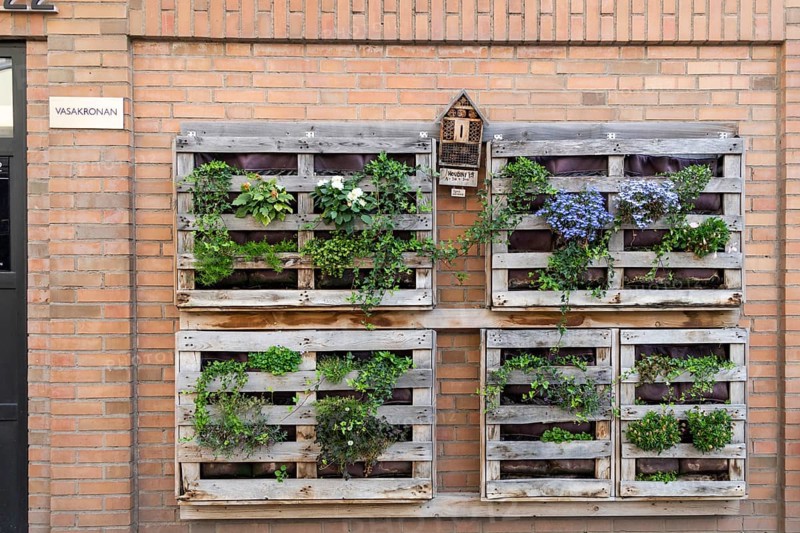 Vertical city garden, old pallets, Änggarden neighbourhood, Majorna-Linné district, Gothenburg, Västra Gotalands län province, Sweden, Europe