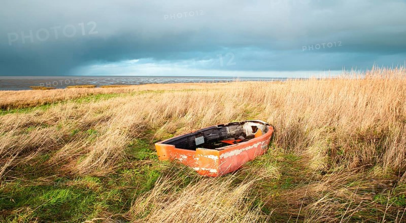 Old wooden boat in the reed next to the north sea on the Island Romo in Denmark, stormy weather in winter