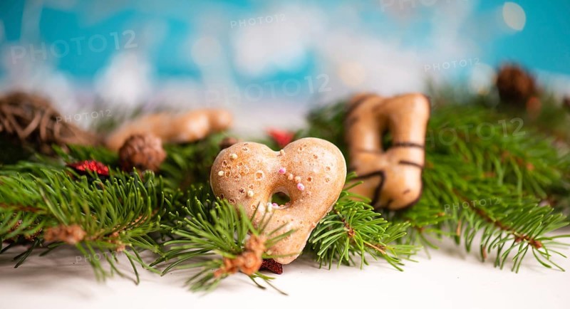 Nurnberg elisen gingerbread mix, traditional german christmas sweets with fir branches and pine cones, holiday background with copy space