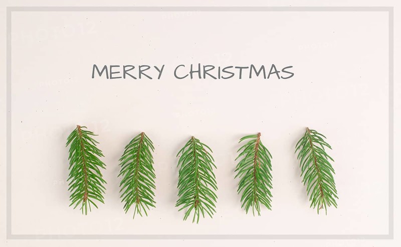 Christmas and new year holiday greeting card and background, winter landscape with fir trees, copy space for text