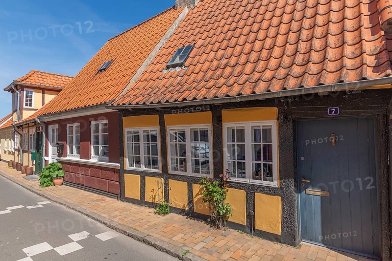 Faborg, Faaborg, picturesque old town with colourful houses, half-timbered houses, low gabled houses, Hautür, plants, Fyn, island of Funen, south coast, Danish South Sea, Denmark, Europe