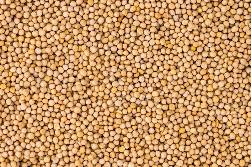 Portion of fresh made Mustard Seeds (close-up shot, selective focus)