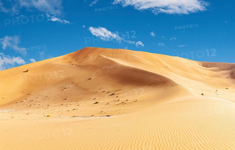 Offroad Jeep safari in the beautiful Omani Rub al-Chali Desert