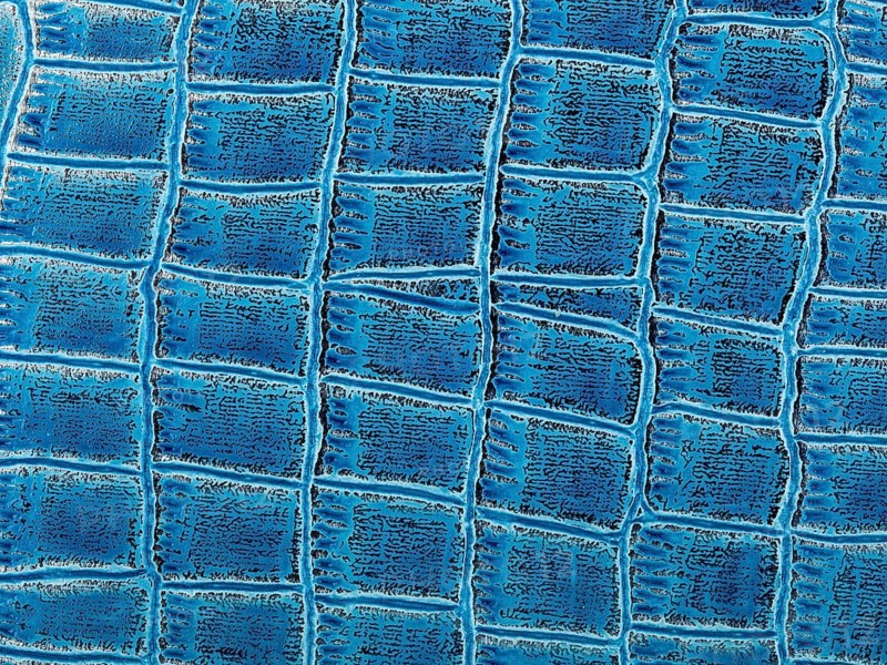 Abstract texture of synthetic leather, blue crocodile background