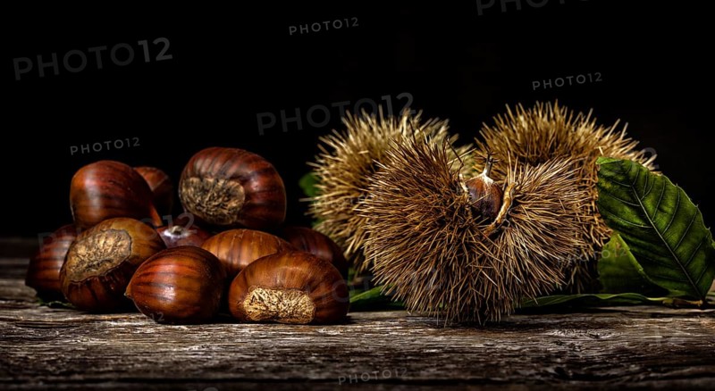 Chestnuts and chestnut bur on wooden table. Light painting technique