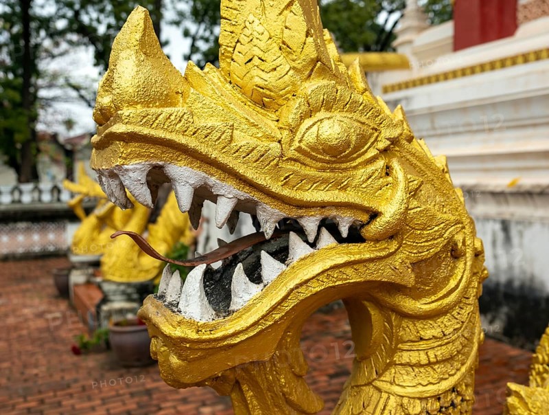 Naga figure, Haw Phra Kaew or Ho Phrakeo Museum, Vientiane, Laos, Asia
