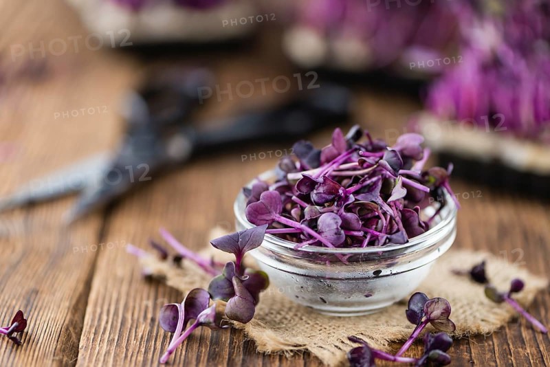Portion of fresh Cutted Cress (close-up shot, selective focus)