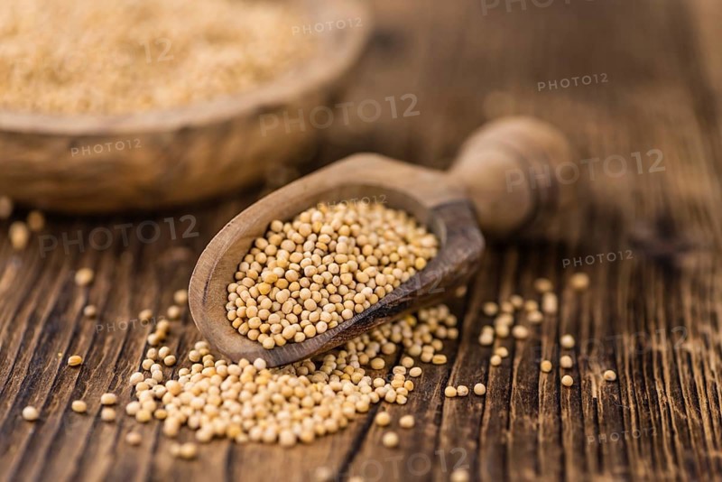 Portion of fresh made Mustard Seeds (close-up shot, selective focus)