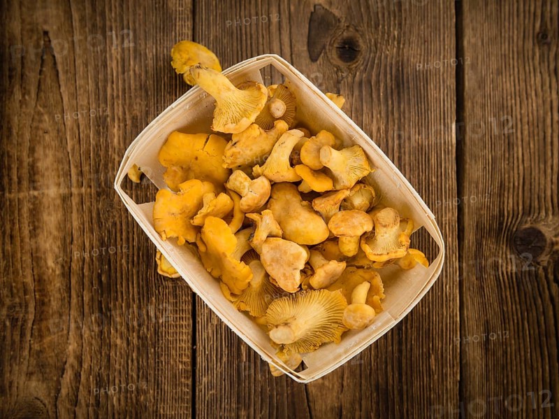 Portion of fresh harvested Chanterelles