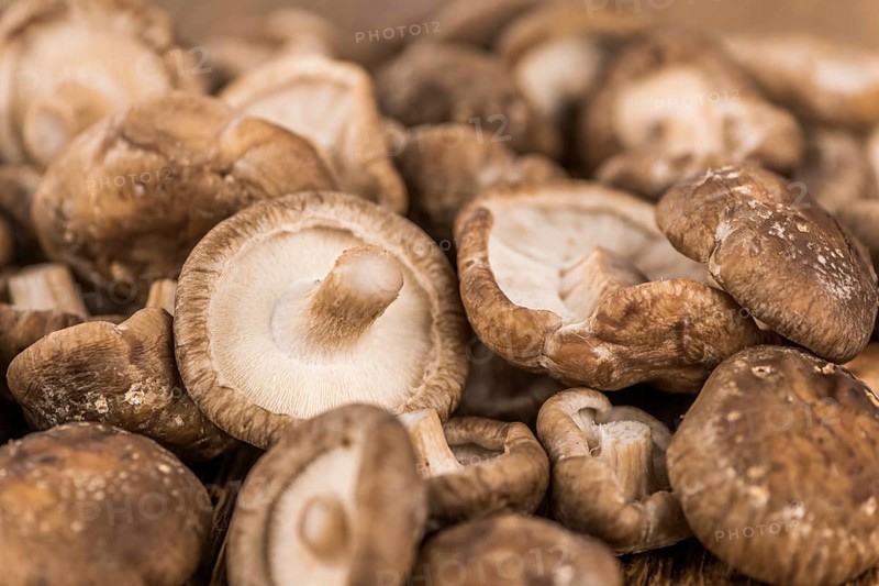 Portion of fresh Shiitake mushrooms close-up shot, selective focus