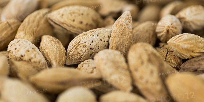 Roasted Almonds (in shell) as full size background image (selective focus)