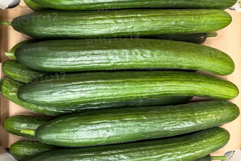 Snake cucumbers (Trichosanthes anguina) on display in grocery stores greengrocers retail wholesale, international