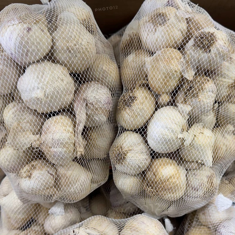 Garlic cloves garlic (Allium sativum) leek plant Knofel, Knobloch, Knufloch, Knobel, Chnobli packed in nylon plastic net in display of food trade retail wholesale
