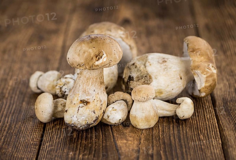 Porcinis on a vintage background (close-up shot, selective focus)
