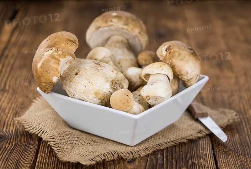 Fresh Porcinis (raw) on a vintage background as detailed close-up shot (selective focus)