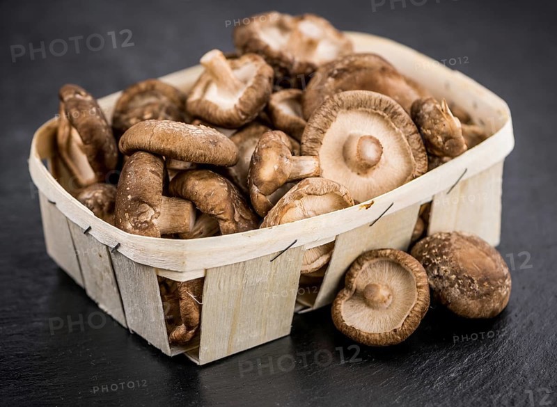 Portion of Raw Shiitake mushrooms on a rustic slate slab, selective focus, close-up shot