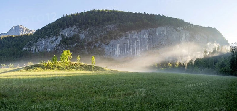 Morning atmosphere, early morning fog over a meadow, behind the Gossler Wand, panoramic shot, Gossl, Salzkammergut, Styria, Austria, Europe