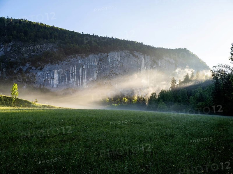 Morning atmosphere at sunrise, early morning fog over a meadow, behind the Gossler Wand, Gossl, Salzkammergut, Styria, Austria, Europe