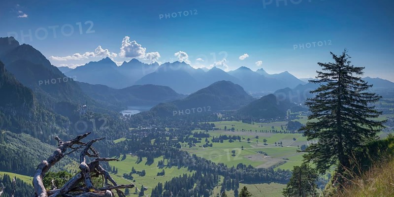 Neuschwanstein Castle, Hohenschwangau near Füssen, Ostallgäu, Allgäu, Bavaria, Germany, Europe