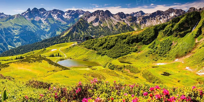 Alpine rose blossom, panorama from the Fellhorn over the Schlappoldsee and mountain station of the Fellhornbahn to the central main ridge of the Allgäu Alps, Allgäu, Bavaria, Germanyropa