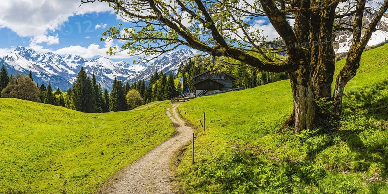 Berggasthof Hochleite, behind it the Allgäu Alps, Allgäu, Bavaria, Germany, Europe