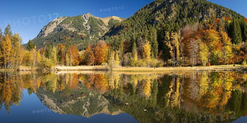 Rubihorn, 1957m, Gaisalphorn, 1953m, and Schattenberg, 1845m, water reflection in the moor pond, autumn, near Oberstdorf, Oberallgäu, Allgäu, Bavaria, Germany, Europe