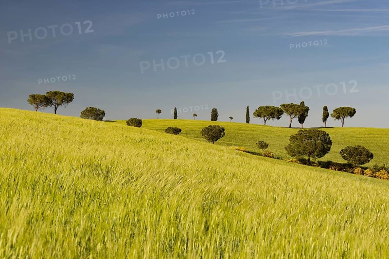 Landscape around San Quirico dOrcia, Val d'Orcia, Orcia Valley, UNESCO World Heritage Site, Province of Siena, Tuscany, Italy, Europe