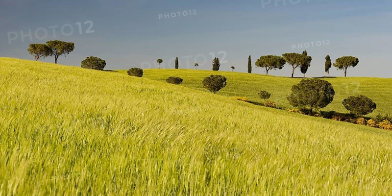 Landscape around San Quirico dOrcia, Val d'Orcia, Orcia Valley, UNESCO World Heritage Site, Province of Siena, Tuscany, Italy, Europe