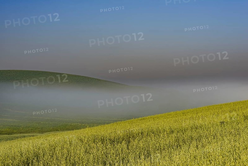 Sunrise in the Crete Senesi, Province of Siena, Tuscany, Italy, Europe